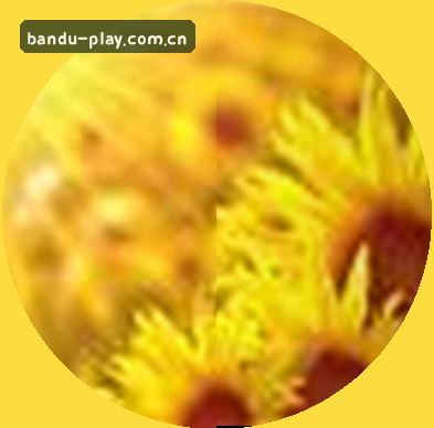 王芳