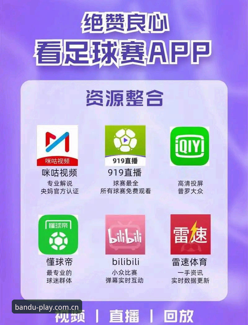 资深用户深度解析：半岛体育平台APP手机版功能实战经验分享